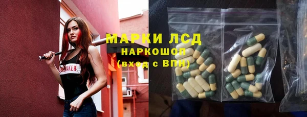 прущие крисы Бородино
