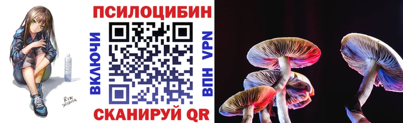 Галлюциногенные грибы прущие грибы  как найти   Дзержинский 